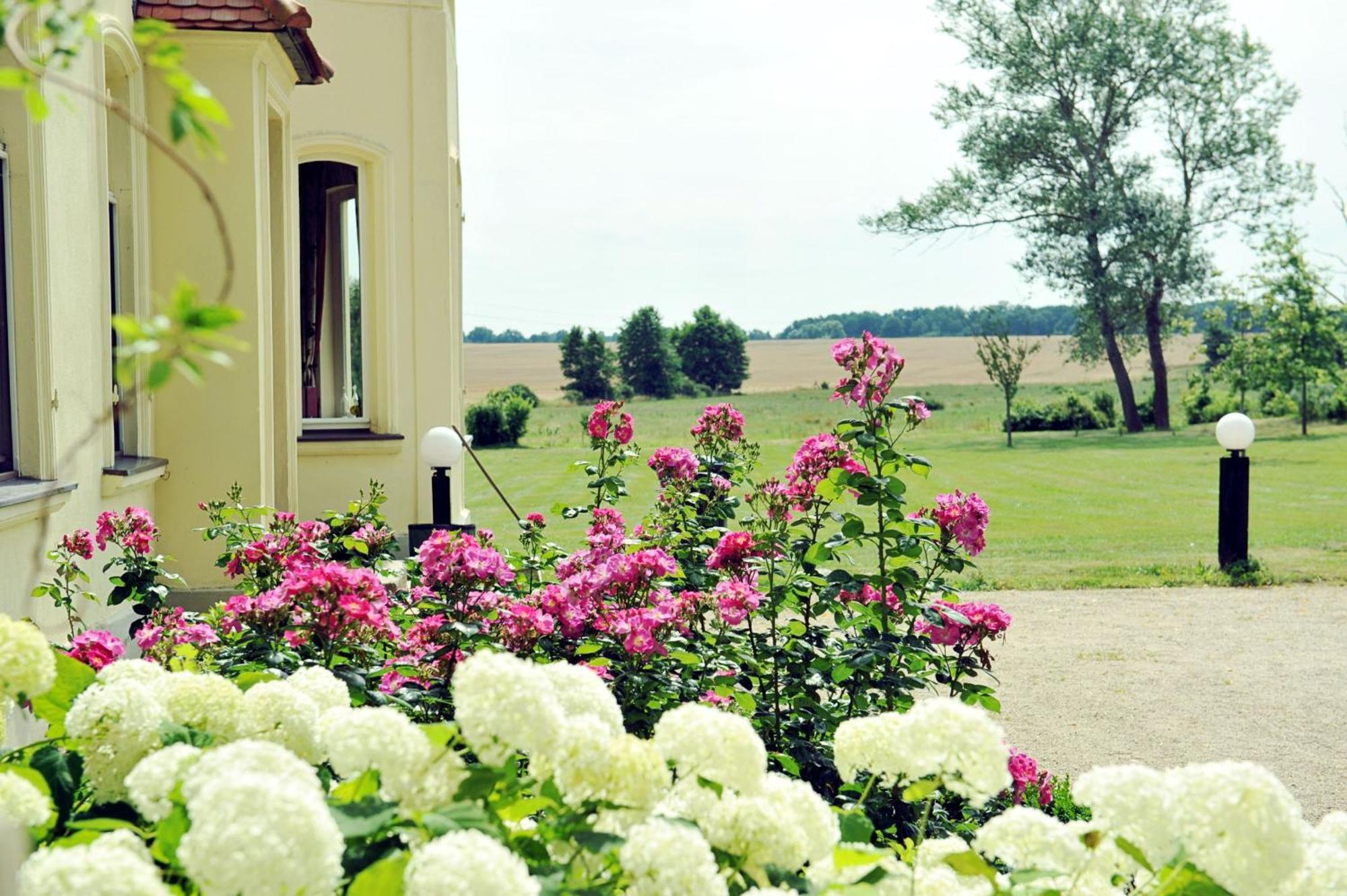 Gutshaus Penzlin Meyenburg (Prignitz) Exterior foto